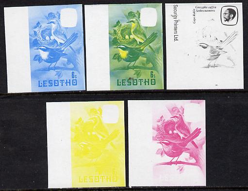 Lesotho 1981 Cape Robin Chat 6s the set of 5 imperf progressive proofs comprising the 4 individual colours, plus blue & yellow, (as SG 441)