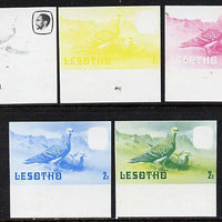 Lesotho 1981 Rock Pigeon 2s the set of 5 imperf progressive proofs comprising the 4 individual colours, plus blue & yellow, scarce (as SG 438)