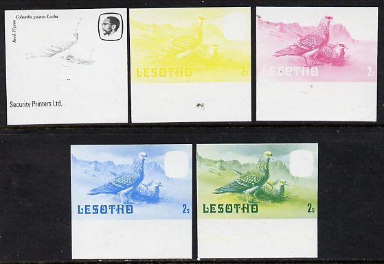 Lesotho 1981 Rock Pigeon 2s the set of 5 imperf progressive proofs comprising the 4 individual colours, plus blue & yellow, scarce (as SG 438)