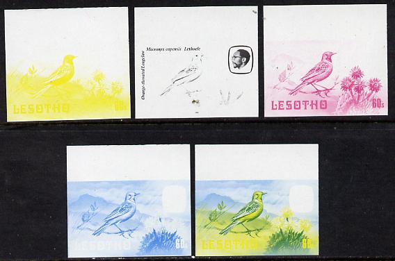 Lesotho 1981 Cape Longclaw 60s the set of 5 imperf progressive proofs comprising the 4 individual colours, plus blue & yellow, scarce (as SG 446)