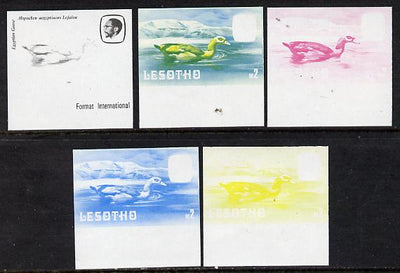 Lesotho 1981 Egyptian Goose M2 the set of 5 imperf progressive proofs comprising the 4 individual colours, plus blue & yellow, scarce (as SG 449) unmounted mint