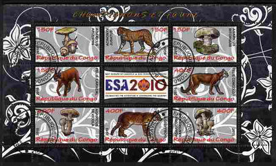 Congo 2010 Mushrooms & Fauna #07 perf sheetlet containing 8 values plus Scouts label fine cto used