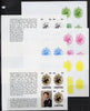 Booklet - Lesotho 1981 Royal Wedding 50s value (x 3) in booklet panes as SG 452a x 6 imperf progressive proofs comprising various single colour or composite combinations, extremely scarce (6 panes)