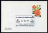 Postmark - Great Britain 1976 card bearing illustrated cancellation for A Tonic to the Nation - Victoria & Albert Museum