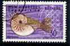 New Hebrides - English 1963-72 Nautilus Shell 30c from def set very fine cds used, SG 103