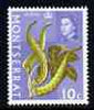 Montserrat 1969-70 Ochra 10c (wmk sideways) unmounted mint, SG 218