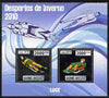 Guinea - Bissau 2010 Winter Olympic Sports - Luge perf sheetlet containing 2 values in silver unmounted mint