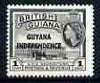 Guyana 1966 GPO Georgetown 1c with Independence opt (DLR opt on Block CA wmk) unmounted mint, SG 385*