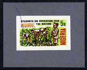 Nigeria 1978 Operation Feed the Nation - imperf machine proof of 5k value (as issued stamp) mounted on small piece of grey card believed to be as submitted for final approval (ink mark across top left)