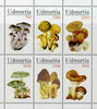 Udmurtia Republic 1998 Fungi #1 perf sheetlet containing complete set of 6 values unmounted mint