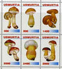 Udmurtia Republic 1998 Fungi #3 perf sheetlet containing complete set of 6 values unmounted mint