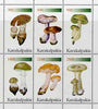Karakalpakia Republic 1998 Fungi perf sheetlet containing complete set of 6 values unmounted mint