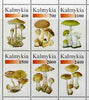 Kalmikia Republic 1998 Fungi #1 perf sheetlet containing complete set of 6 values unmounted mint