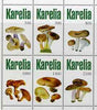 Karelia Republic 1998 Fungi #1 perf sheetlet containing complete set of 6 values unmounted mint
