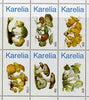 Karelia Republic 1998 Fungi #2 perf sheetlet containing complete set of 6 values unmounted mint