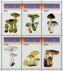 Tatarstan Republic 1998 Mushrooms #2 perf sheetlet containing complete set of 6 values unmounted mint