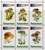 Tatarstan Republic 1998 Mushrooms #3 perf sheetlet containing complete set of 6 values unmounted mint
