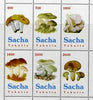 Sakha (Yakutia) Republic 1998 Fungi #2 perf sheetlet containing complete set of 6 values unmounted mint