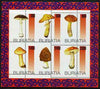 Buriatia Republic 1998 Fungi #09 perf sheetlet containing complete set of 6 values unmounted mint