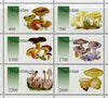 Dagestan Republic 1998 Fungi #3 perf sheetlet containing complete set of 6 values unmounted mint