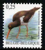 Belgium 2002-09 Birds #5 Oystercatcher 0.25 Euro unmounted mint, SG 3698