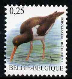 Belgium 2002-09 Birds #5 Oystercatcher 0.25 Euro unmounted mint, SG 3698
