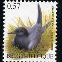 Belgium 2002-09 Birds #5 Black Tern 0.57 Euro unmounted mint, SG 3702