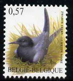 Belgium 2002-09 Birds #5 Black Tern 0.57 Euro unmounted mint, SG 3702