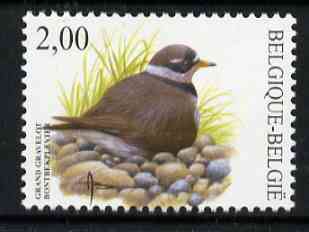 Belgium 2002-09 Birds #5 Ringed Plover 2.00 Euro unmounted mint, SG 3706