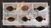 Congo 2002 Fish #3 (flat fish) perf sheetlet containing set of 6 values, each with Scouts & Guides Logos cto used