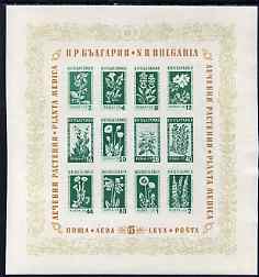 Bulgaria 1953,Medicinal Flowers imperf m/sheet unmounted mint, SG MS931a