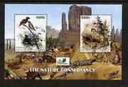 Benin 2003 The Nature Conservancy perf m/sheet containing 2 x 1000f values (birds & cats by John Audubon) fine cto used