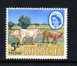Rhodesia 1966 Cattle 5s (photogravure printing) from def set unmounted mint, SG 385