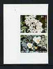 Calf of Man 1969 Flowers of the Isle of Man first issue imperf set of 2 unmounted mint (Rosen CA154a-55a)