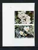 Calf of Man 1969 Flowers of the Isle of Man first issue imperf set of 2 unmounted mint (Rosen CA154a-55a)