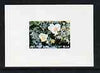 Calf of Man 1969 Flowers of the Isle of Man first issue imperf m/sheet unmounted mint (Rosen CA156MS)