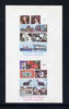 Calf of Man 1973 10th Anniversary of Calf Stamps imperf m/sheet (without border) unmounted mint (Rosen CA252MS)