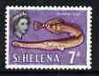 St Helena 1961 Trumpetfish 7d from def set (with lace background) unmounted mint, SG 182