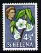 St Helena 1961 Red Wood Flower 4.5d from def set (with lace background) unmounted mint, SG 180