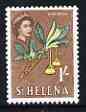 St Helena 1961 Gum Wood Flower 1s from def set (with lace background) unmounted mint, SG 184