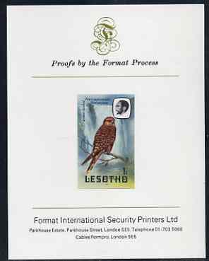 Lesotho 1981 Kestrel 1s imperf proof mounted on Format International proof card (as SG 437)