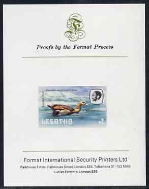 Lesotho 1981 Egyptian Goose M2 imperf proof mounted on Format International proof card (as SG 449)