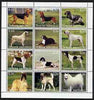Jewish Republic 2000 Dogs (various breeds) perf sheetlet containing complete set of 12 values, unmounted mint