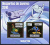 Guinea - Bissau 2010 Winter Olympic Sports - Skeleton Skating perf sheetlet containing 2 values in gold unmounted mint