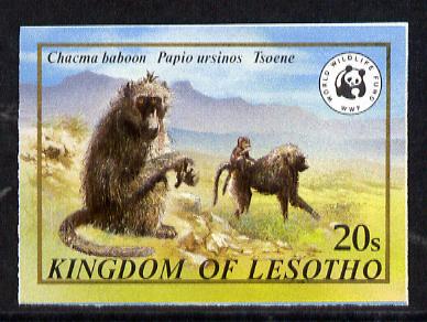 Lesotho 1981 WWF - Chacma Baboon 20s value imperf single unmounted mint as SG 469