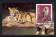 Eritrea 2001 Owl & Leopard imperf souvenir sheet (with Rotary Logo) fine cto used