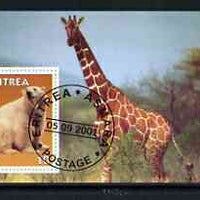 Eritrea 2001 Bear & Giraffe imperf souvenir sheet (with Scout Logo) fine cto used