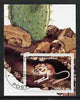 Somaliland 2001 Desert Mouse & Cactus imperf souvenir sheet cto used