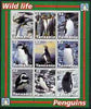 Tanzania 2003 Wild Life - Penguins perf sheetlet containing set of 9 values unmounted mint