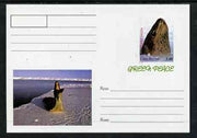 Sakha (Yakutia) Republic 1999 Greenpeace - Seals #08 postal stationery card unused and pristine
